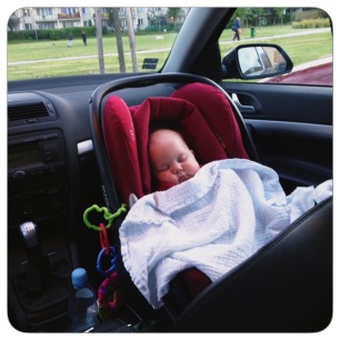 Maxi sleeping in car